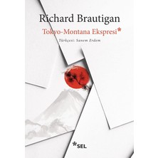 Tokyo-Montana Ekspresi