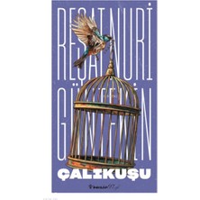 İnkilap İnkılap Yayınları'ndan Reşat Nuri Gültekin'in Çalıkuşu Romanı Ciltsiz Yeni Kapak