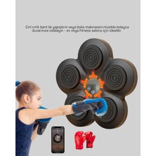 Semel Evde Fitness Için Akıllı Boks Makinesi Işıklı Vuruş Noktalı Bluetoothlu