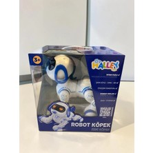 AyrStore 6601 Uzk Kumandalı Dans Edebilen Robot Köpek -Zrv