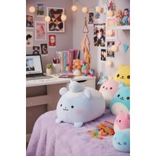 Mey İthalat Miniso Lisanslı Soft Fufu Koleksiyonu Ayı ve Balık Peluş Oyuncak, 2023088310104