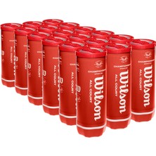 Wilson Championship Legacy Beyaz Tenis Topu 3’lü 24 Kutu