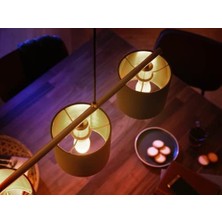 Hue 5.3W Renkli Akıllı B39 E14 LED Ampul, Bluetooth Özellikli