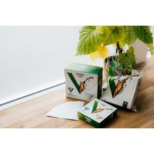 V60 01 Dripper Filtresi (100 Adet)