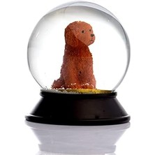 Cam ve Reçine Altın Patiler Köpek Toy Poodle (Tarçın) Kar Küresi Hediye