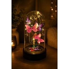 Relievo Sevgiliye Özel Günlere LED Işıklı Kelebek Fanus Dekoratif Gece Lambası Pilli 22 cm Dekoratif Ürün