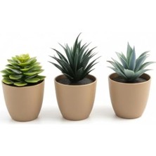 Üçlü Mini Yapay Sukulent Seti – 8 cm Saksı, Dekoratif Küçük Bitki Seti, Gerçekçi Görünüm, Salon Ofis Ev Masa Üstü Süs Bitkisi, Bakım Gerektirmez, Modern Dekor