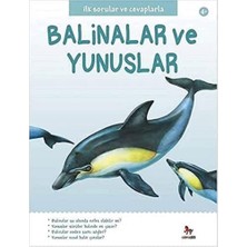 Ilk Sorular ve Cevaplarla: Balinalar ve Yunuslar