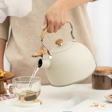 2.5l Paslanmaz Çelik Düdüklü Su Isıtıcısı Demlik Islıklı Kettle