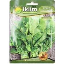 Bezos Tohum Roka 10GR