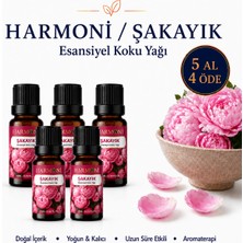 Harmoni Şakayık Esansiyel Uçucu Koku 10ML Difüzör Esansı Buhurdanlık Yağı ve Oda Kokusu  5AL 4öde