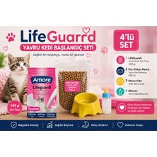 Amore Lifeguard Yavru Kedi Başlangıç Seti 4lü - 240 gr Süt Tozu + Pro Plan Kitten Mama + Mama Kabı + Biberon