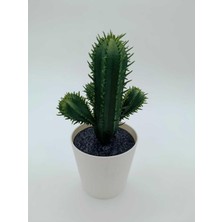 Maxi Trendy Fejka Kaktüs, 14 Cm, Mini Saksılı Yapay Kaktüs Bitki