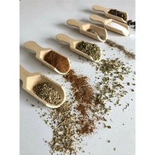 CATEKSSS 6 Adet Mini Kürek Baharat Kaşığı Çelik Kahverengi