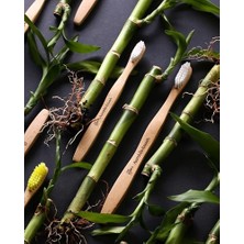 Maxi Trendy Bambu Diş Fırçası Yetişkin Medium Orta Sert Lila,