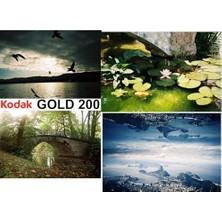 Maxi Trendy 1  Gold 200 135/36