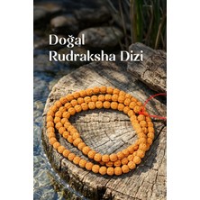 Taş Sandığı Rudraksha Dizi – 10 mm – 110 Habbeli