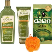 Dalan D'olive Onarıcı Bakım Şampuanı 400 ml Saç Kremi 200 ml + Dalan Sabun Antik Zeytinyağlı 1X900GR + Duş Lifi