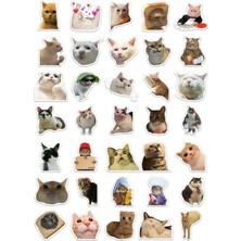 1001 "kedi Mood Sticker Seti" 35 Adet - Bullet Journal - Ajanda -Planner - Defter - Laptop-Tablet Için