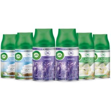 1001 Oda Kokusu Freshmatik Makine Yedek Spreyi (6 x 250 Ml)