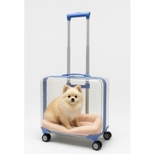 1001 Şeffaf Pet VALIZ%100 Polikarbon Valiz 1821