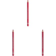1001 Luminous Color Lipliner Kalıcı ve Bakim Yapan Dudak Kalemi 6 Wild Rose (3 Paketi)