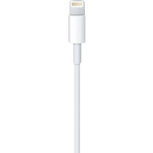 1001 Lightning - USB Kablosu 0.5 M