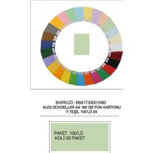Alex Schoeller Fon Kartonu 160 gr A4 04 Fıs Yeşili