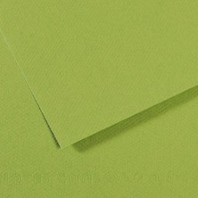 Canson Fon Kartonu (Dokulu) Mı-Teıntes Sh Canmt 50X65 160 gr Grn 475