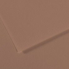 Canson Fon Kartonu (Dokulu) Mı-Teıntes Sh Canmt 50X65 160 gr Brown 188