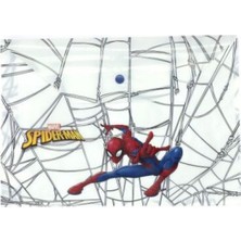 Keskin Color Çıtçıtlı Dosya Plastik Spider A4 120770-06