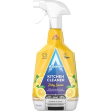 1001 Mutfak Temizleyici Sprey 750 ml