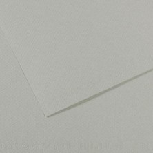 Canson Fon Kartonu (Dokulu) Mı-Teıntes Sh Canmt 50X65 160 gr Grey 354