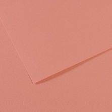 Canson Fon Kartonu (Dokulu) Mı-Teıntes Sh Canmt 50X65 160 gr Pink 352