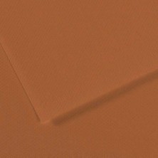 Canson Fon Kartonu (Dokulu) Mı-Teıntes Sh Canmt 50X65 160 gr Brown 187