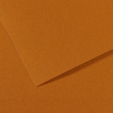 Canson Fon Kartonu (Dokulu) Mı-Teıntes Sh Canmt 50X65 160G Brown 502 31032S109
