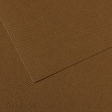 Canson Fon Kartonu (Dokulu) Mı-Teıntes Sh Canmt 50X65 160G Brown 501 31033S122