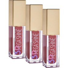 1001 3D Mega Shine Lipgloss No: 111 Dudak Parlatıcısı (3 Paketi)