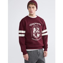 Lc Waikiki Yeni Sezon Bisiklet Yaka Harry Potter Baskılı Erkek Kalın Sweatshirt