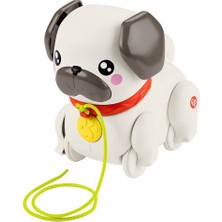 Fisher Price Minik Dostumla Yürüyüş MTL-HTW94