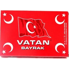 Vatan Türk Bayrağı Polyester 300X450 VT112