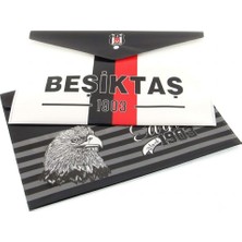 Beşiktaş Çıtçıtlı Dosya DOS-1903 729279