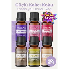 AURAN 1001 Favori Set Esansiyel Uçucu Yağ Buhurdanlık Yağı Hava Nemlendirici Aroma Difüzörü