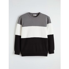 Lc Waikiki Yeni Sezon Bisiklet Yaka Renk Bloklu Erkek Sweatshirt