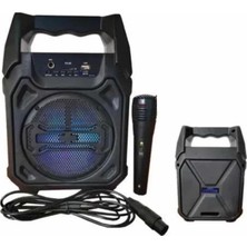 Techora Sale Karaoke Mikrofonlu Fm Radyolu Bluetooth Hoparlör Yüksek Ses Kaliteli