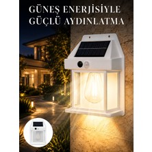 Techora Sale Sensörlü Solar LED Dış Duvar Aydınlatma Yeni Nesil