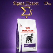 Royal Canin Adult L Büyük Irk 13 kg Kuru Köpek Maması