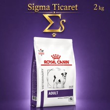 Royal Canin Adult Small Dog Köpek Maması 2 kg