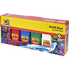 Nova Color Akrilik Boya 100gr x 6 Renk NC-2005