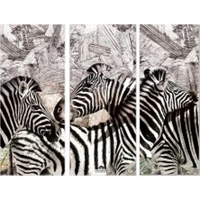 Anadolia Zebra Desenli Üçlü Ahşap Duvar Panosu